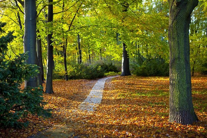 3-Hour Bike Tour of Tiergarten and Berlin's Hidden Places - Key things you will like about this Tiergarten bike tour