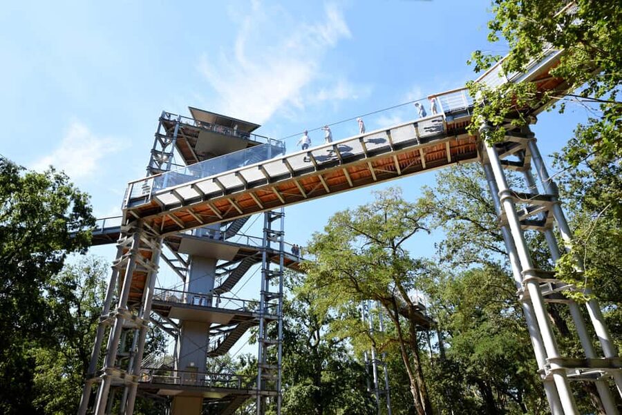 Beelitz-Heilstätten: Baum&Zeit Tree Top Walk Entry Ticket - Where this treetop walk fits in your Berlin plans
