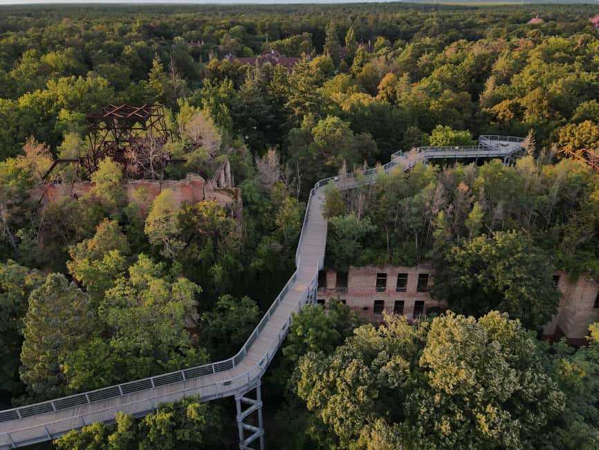 Beelitz-Heilstätten: Baum&Zeit Tree Top Walk Entry Ticket - The Alpenhaus ruins and the canopy forest since 1945