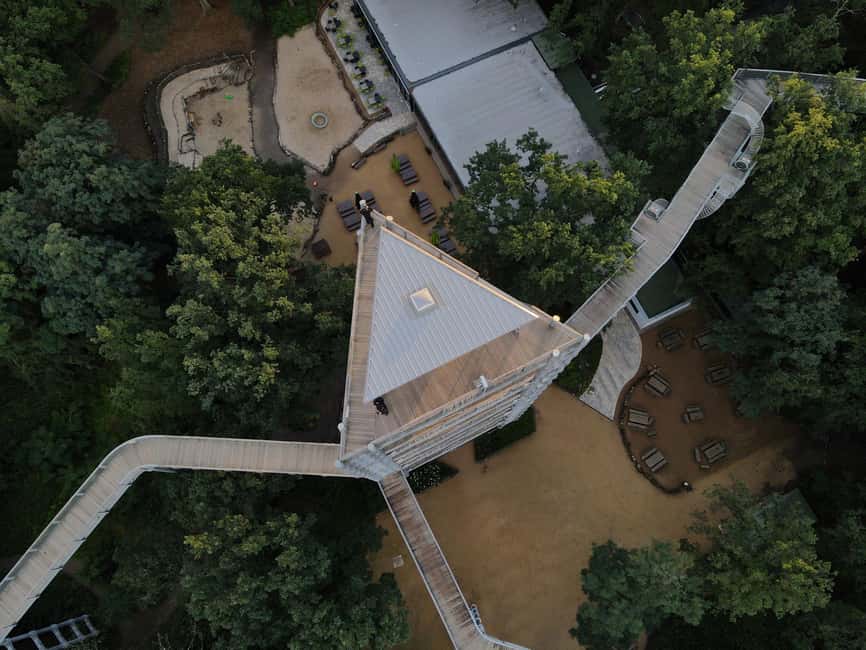 Beelitz-Heilstätten: Baum&Zeit Tree Top Walk Entry Ticket - Climb the 40-meter tower for Berlin-wide views