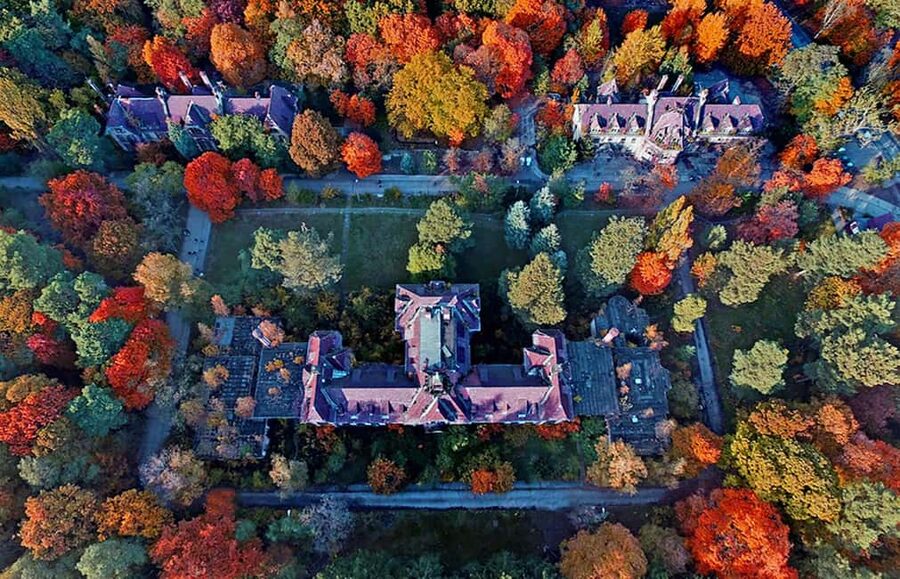 Beelitz-Heilstätten: Baum&Zeit Tree Top Walk Entry Ticket - Seasonal colors: what the forest park does best