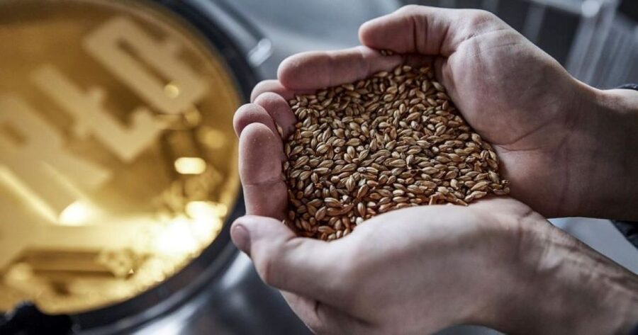 Berlin: BRLO BRWHOUSE Tour and Craft Beer Tasting - Pairing snacks and guides who answer follow-ups