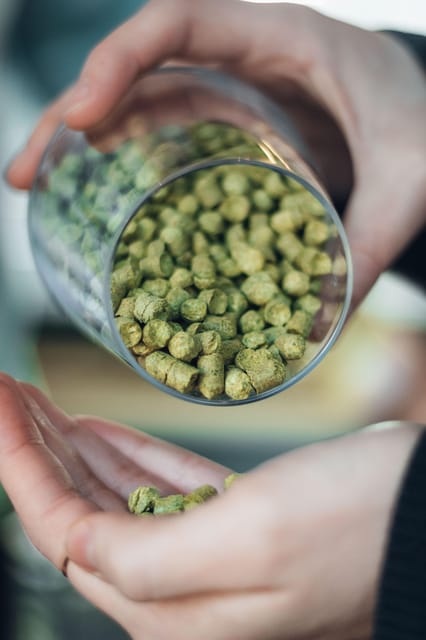 Berlin: BRLO Charlottenburg Tasting Session - Your Guided Flight of 5 Beers, One by One