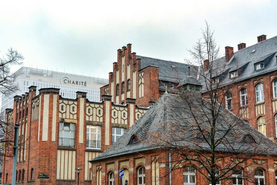 Berlin: Charité Hospital History Walking Tour - Price and value: is $28 a fair deal for Charité?