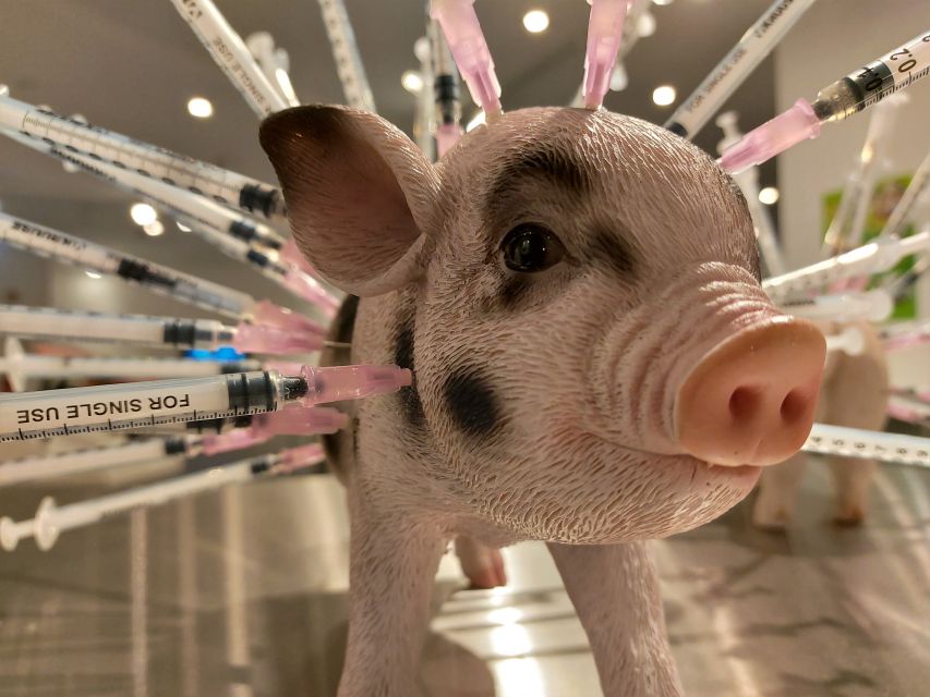 Berlin: Disgusting Food Museum Entry Ticket and Tasting - Key highlights you should plan around