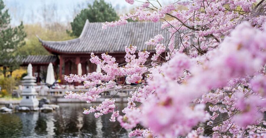 Berlin: Gärten der Welt Guided Tour - The Balinese garden stop: looking for design clues, not just flowers