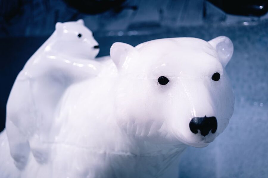 Berlin: Hop-On Hop-Off Bus and Icebar Ticket Combo - Inside the Icebar: What Minus 10°C Feels Like