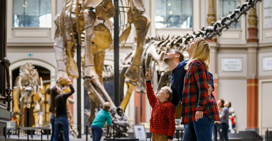 Berlin: Natural History Museum Entrance Ticket - Key highlights you will notice fast