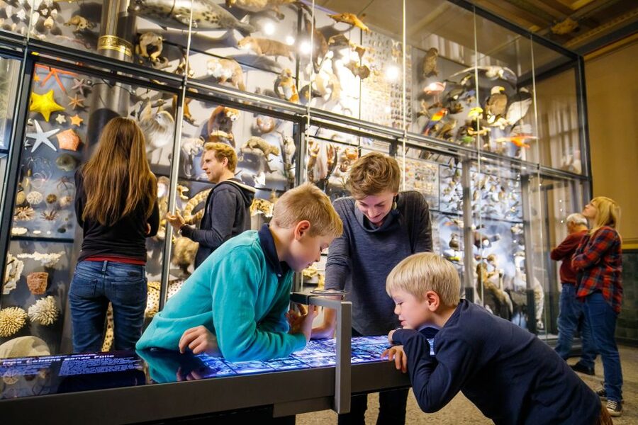 Berlin: Natural History Museum Entrance Ticket - What you are really paying for at $12