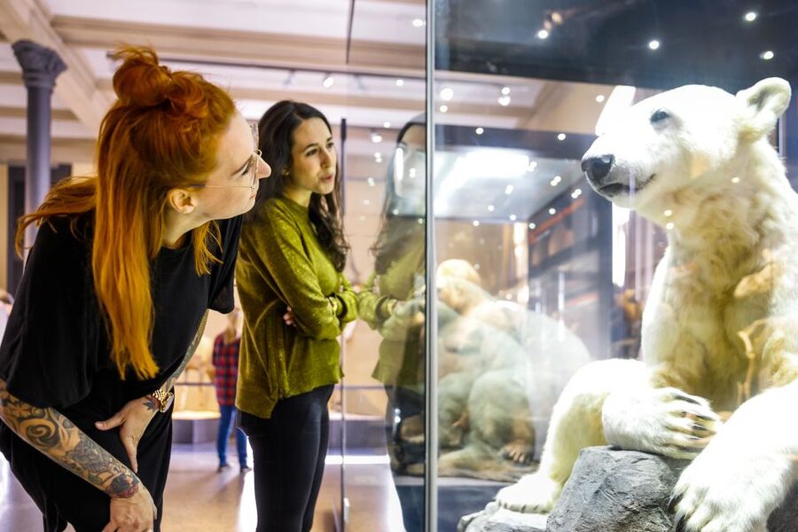 Berlin: Natural History Museum Entrance Ticket - Best for: families, dinosaur fans, and science-minded visitors