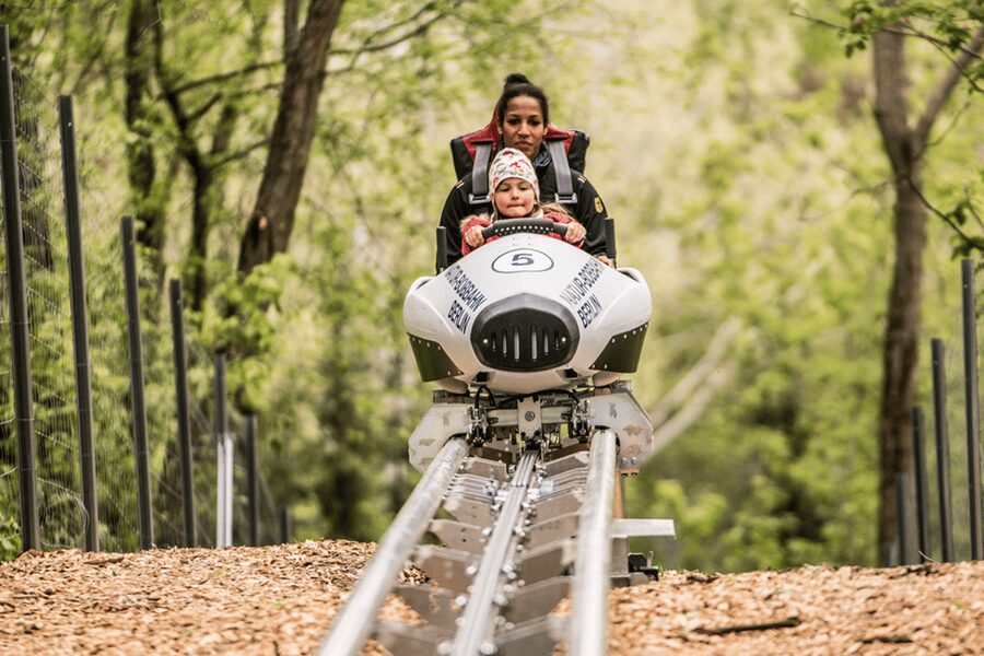 Berlin: Nature Bobsled Run Ticket - Ticket value and how $7 works in real life
