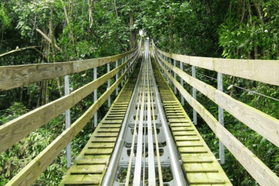 Berlin: Nature Bobsled Run Ticket - The downsides worth taking seriously