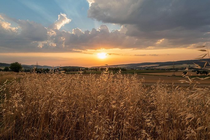 Berlin-Prague One-Way Sightseeing Day Tour - Crossing into Prague Evening, Then Choosing Your Own Pace