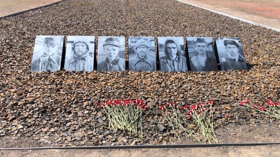 Berlin: Sachsenhausen Concentration Camp Guided Tour - Cell Block Secrets, Mistreatment, and Prisoners You Might Not Expect to Learn About