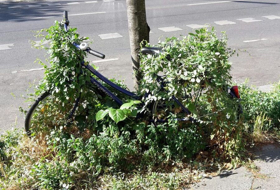 Berlin: Street Art and Alternative Tour - FAQ