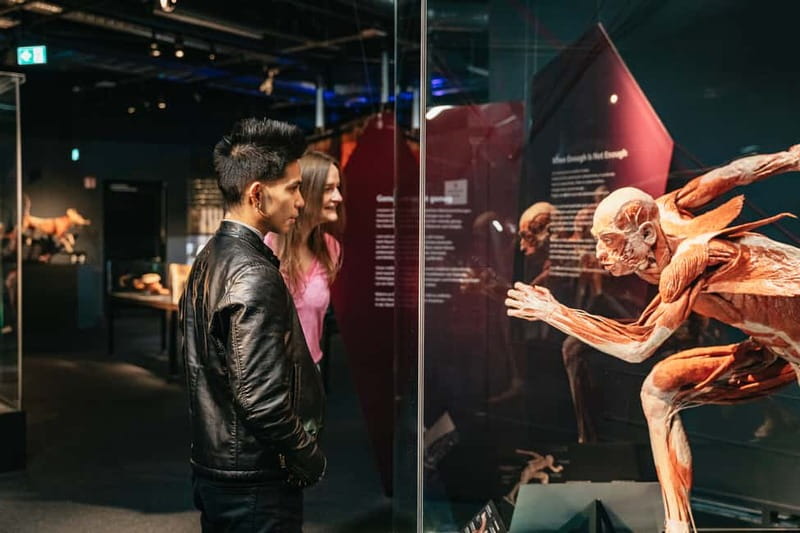 Berlin: Tickets for the BODY WORLDS Museum in Berlin - Key points before you go