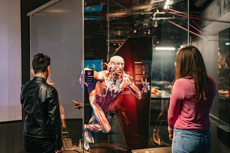 Berlin: Tickets for the BODY WORLDS Museum in Berlin - How long to spend, and what kind of questions to ask while you’re there