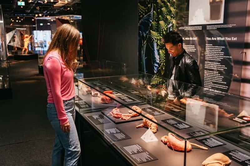 Berlin: Tickets for the BODY WORLDS Museum in Berlin - How the plastinate galleries teach organs, diseases, and connections