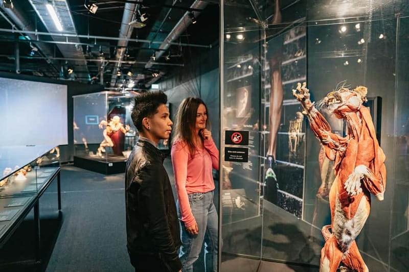 Berlin: Tickets for the BODY WORLDS Museum in Berlin - Practical comfort: lockers, cloakroom, and wheelchair access