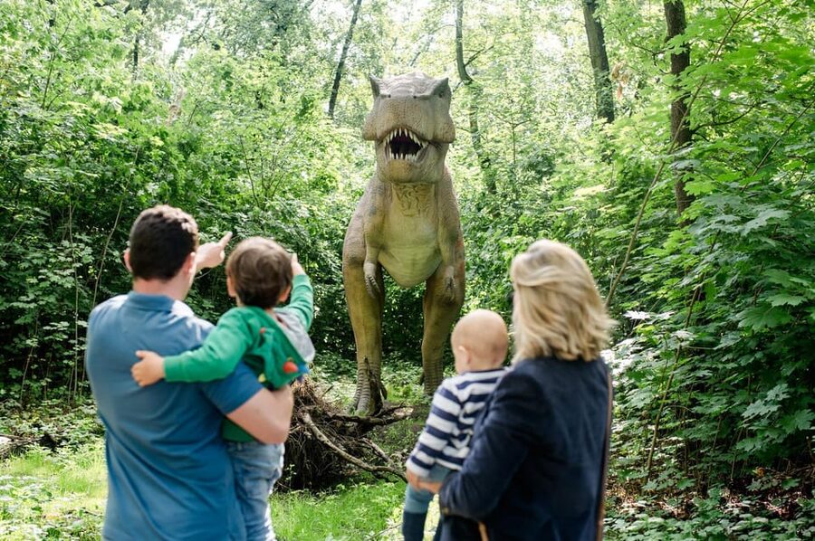 Berlin: Tickets for the Tierpark in East Berlin - Price and Timing: A Full Day of Value on 160 Hectares