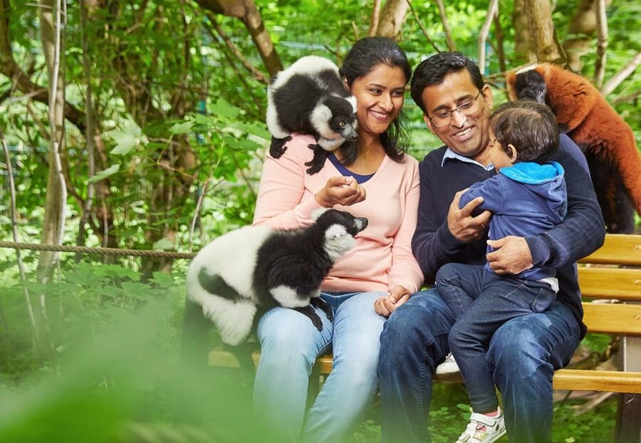 Berlin: Tickets for the Tierpark in East Berlin - Don’t Forget the Rest of the World: Himalayas and South East Asia