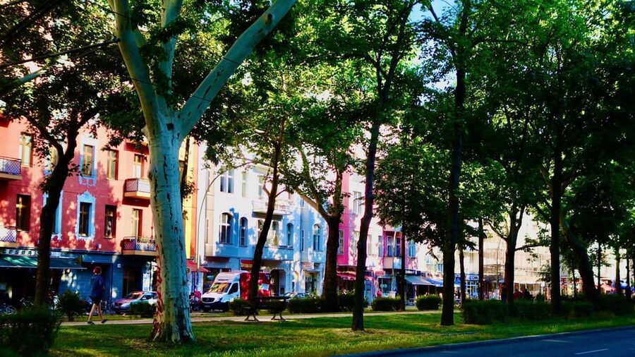 Berlin: Vegan Food & Cultural Walking Tour in Friedrichshain - Value check: is $135 worth it?
