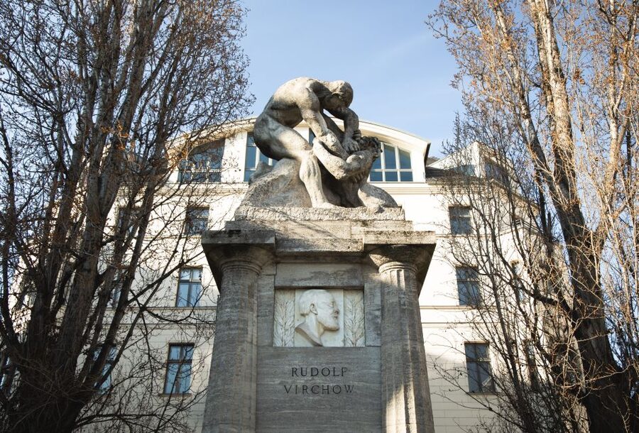 Berlin: walking tour about Charité - Animal Anatomical Theatre (TAT): a rare historical anatomy setting