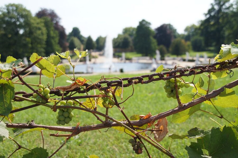 From Berlin: Potsdam Half-Day Tour in Spanish - Key highlights worth your attention