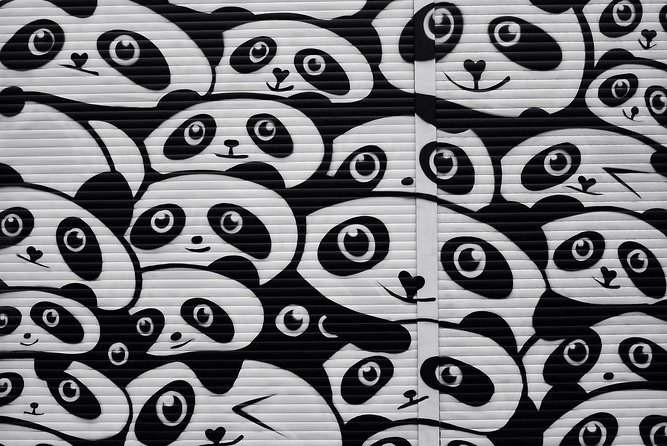 Kreuzberg Walking Tour: Immigrants, Artists & Hipsters - Görlitzer Park and Markthalle 9: Slower Feet, Better Atmosphere