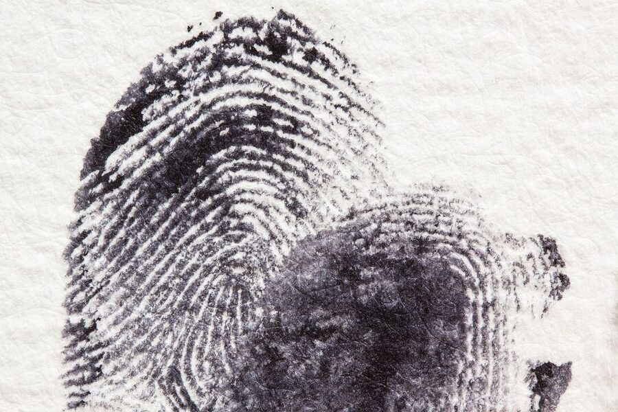 Potsdam: Jägervorstadt Outdoor Crime Mystery Tour - The plot about stolen footage: what to listen for