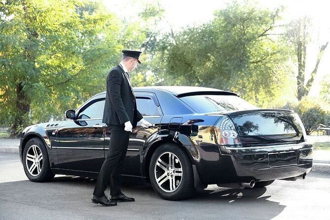 Private One way Airport Transfer Berlin Airport To Berlin - Timing at BER, flight delays, and how to avoid a pickup mess