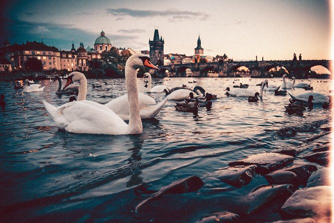 Private Transfer from Berlin to Prague with 2h of Sightseeing - Value check: what you pay and what you get instead of buses and trains